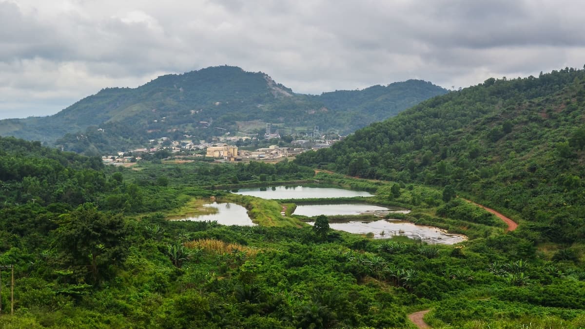 Cover Image for The climate crisis won’t be solved without Indigenous leadership