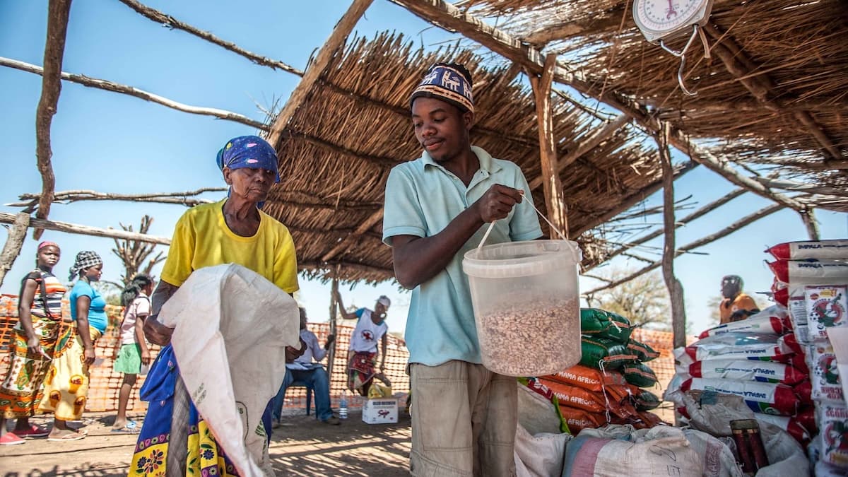 Cover Image for Climate finance has failed Africa twice over. How can we fix it?